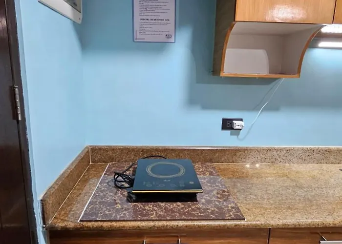 Spacious & Cozy 1-bedroom Apartment, Sleeps 2-4
